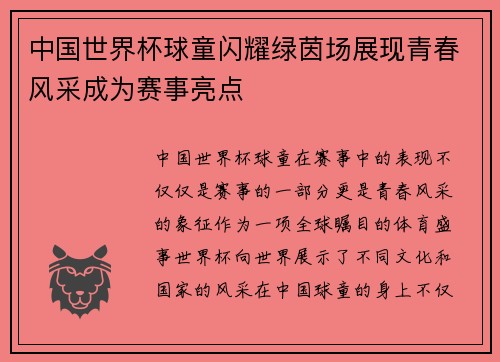 中国世界杯球童闪耀绿茵场展现青春风采成为赛事亮点