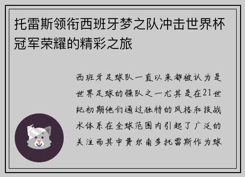 托雷斯领衔西班牙梦之队冲击世界杯冠军荣耀的精彩之旅