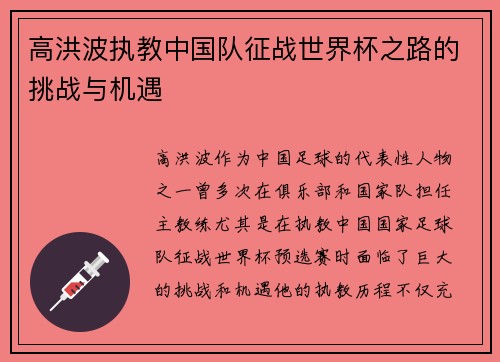 高洪波执教中国队征战世界杯之路的挑战与机遇